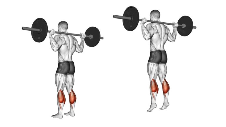 Image of how to perform a barbell standing calf raise workout