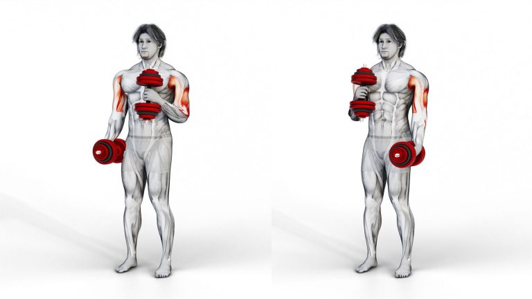 Image of how to do a hammer dumbbell bicep curl