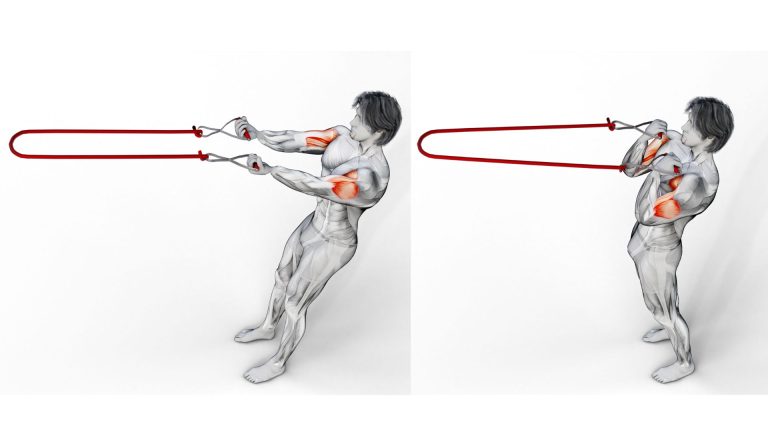 Image of instructions on how to do a TRX bicep curl exercise