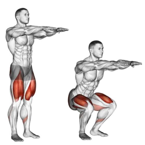 Image of the bodyweight squat high intensity workout