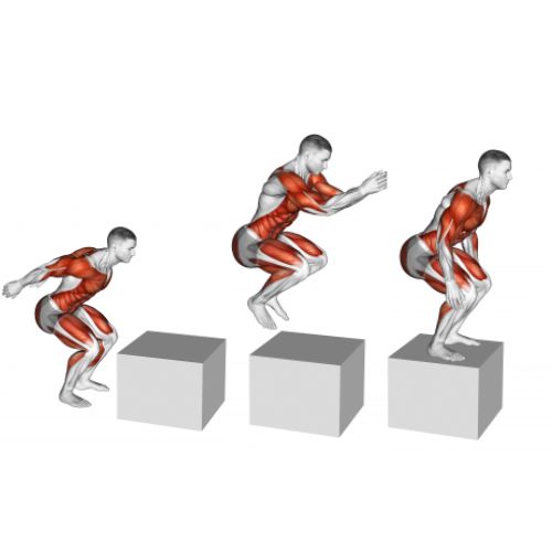 Image of the box jump hiit training exercise