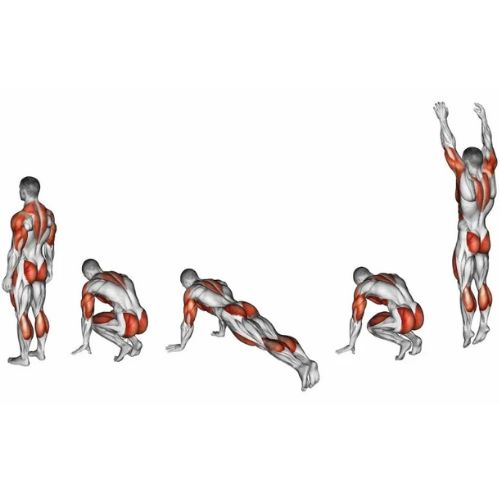 Image of the burpee hiit training exercise