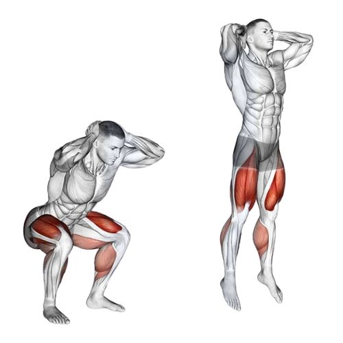 Image of the jump squat hiit training exercise