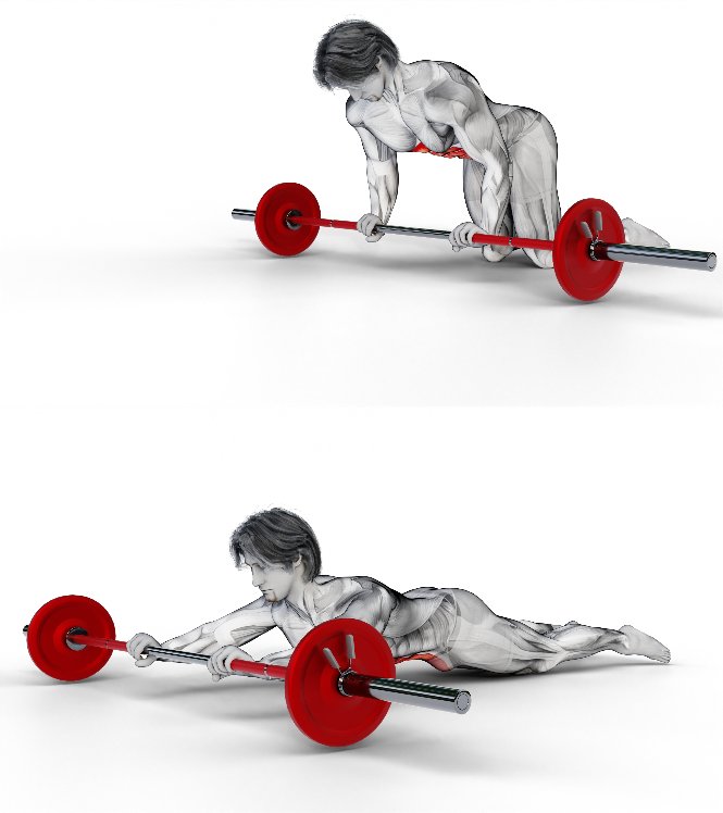 Image of the barbell rollout ab workout