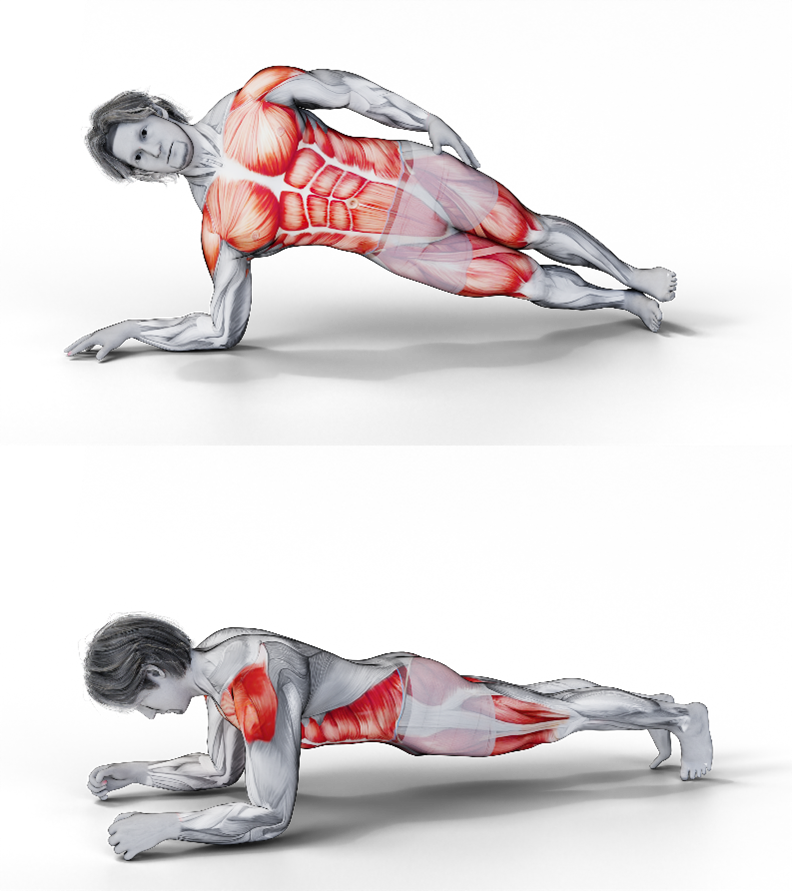 Image of the plank core exercise