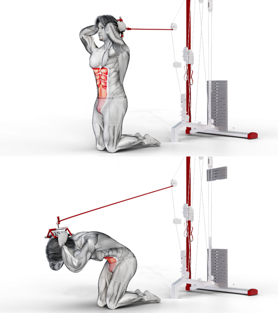 Image of the kneeling cable crunch core exercise