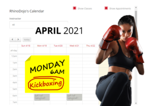 Woman scheduled a kick boxing class using online software