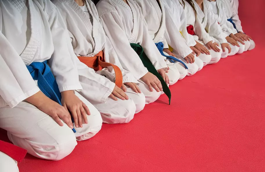 Belt tracking at a local dojo