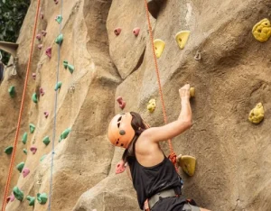 climbing gym management software helps owner run a business