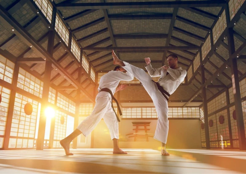 an image representing martial arts software with two men practicing martial arts & Combat sports