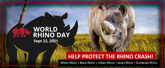 Happy rhinos celebrating word rhino day